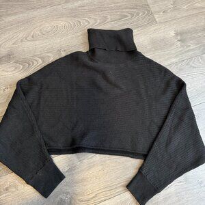 Cropped Turtleneck Knit Sweater from Aritzia